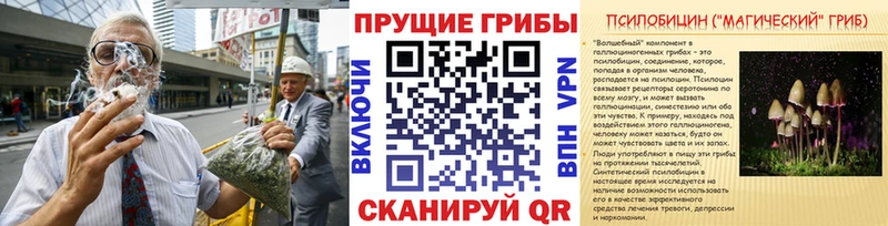 цены Староминская Псилоцибиновые грибы мицелий